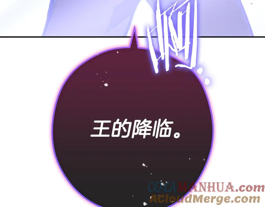 第261页