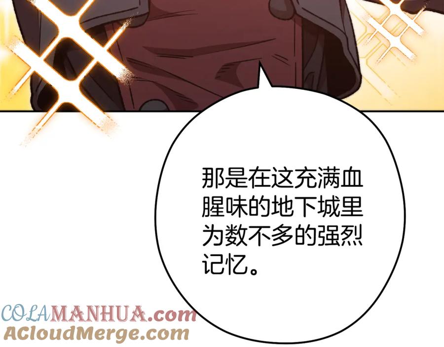 第237页