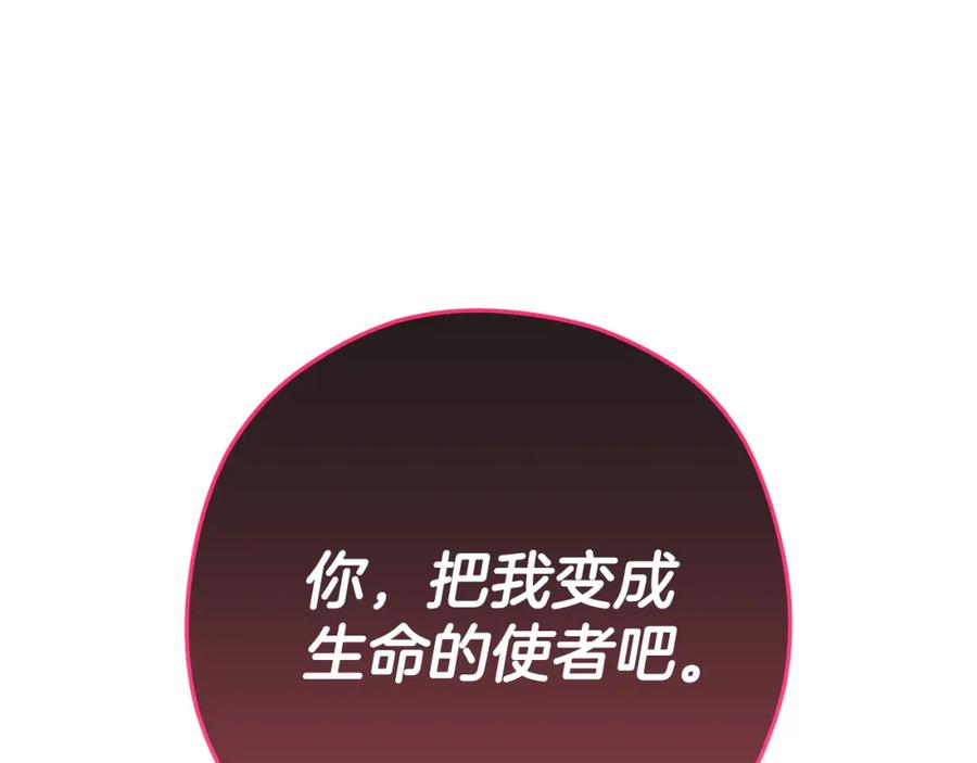 第242页
