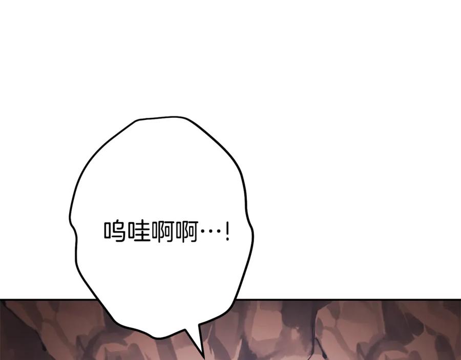 第215页