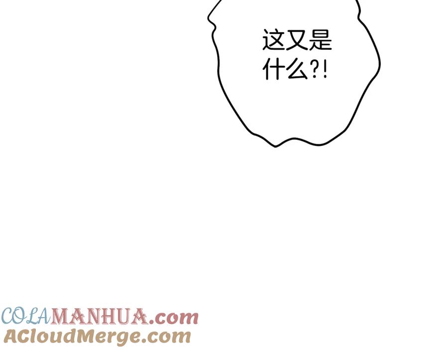 第217页
