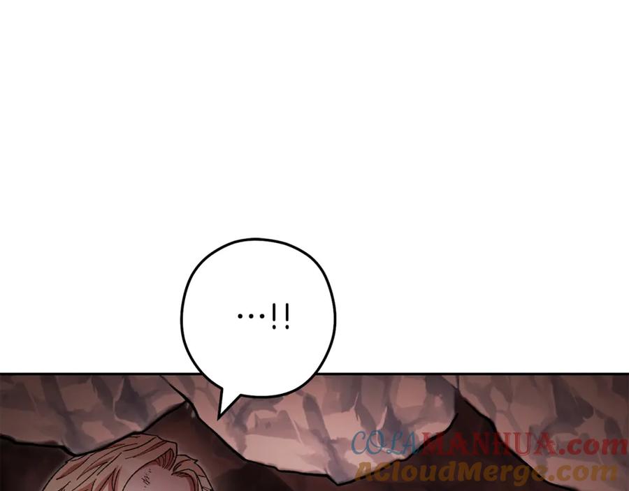 第221页