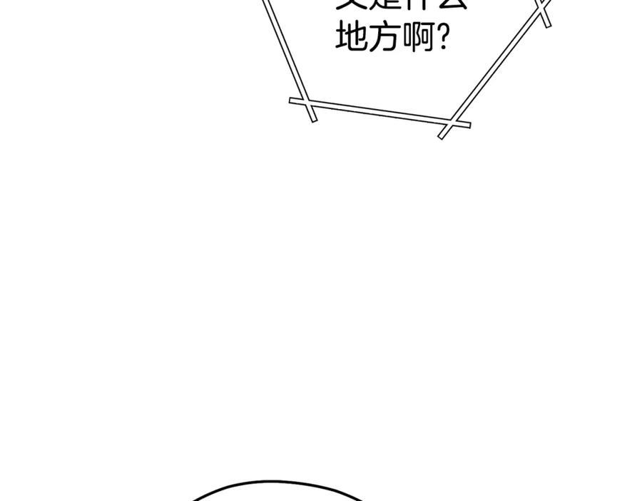 第223页