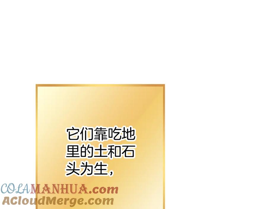 第241页