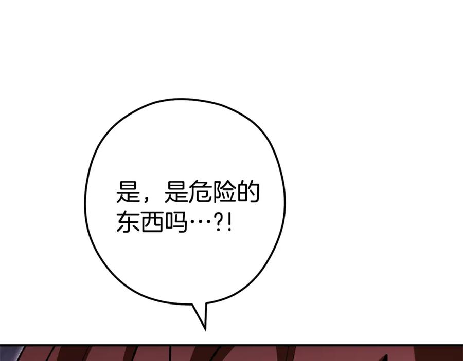 第243页