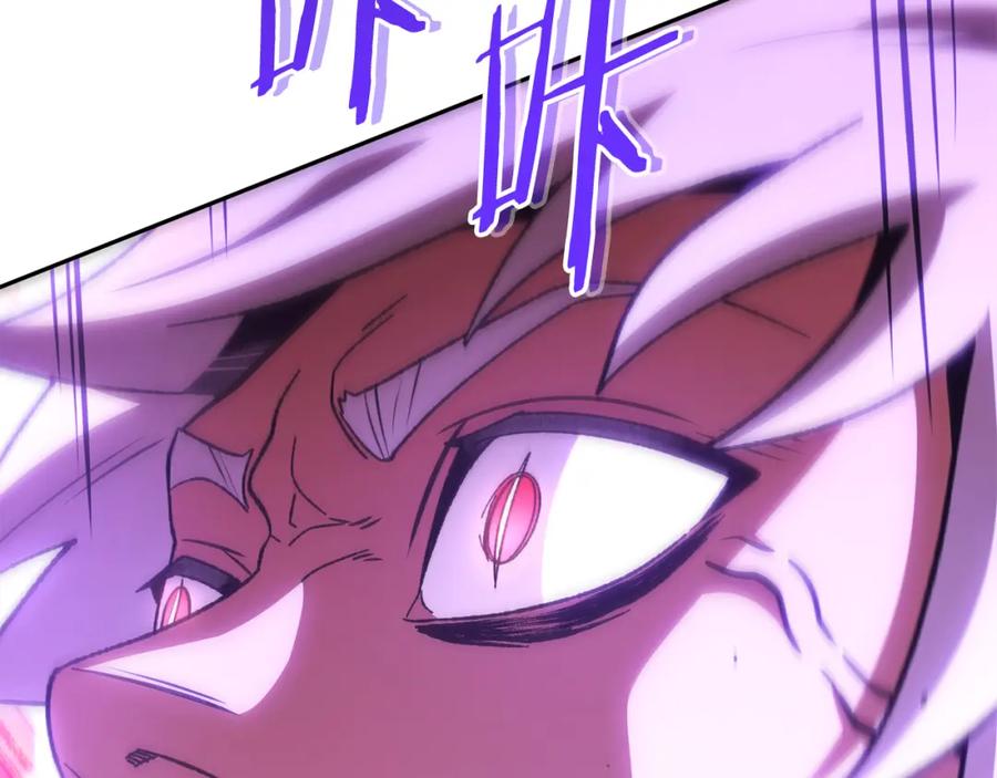 第255页