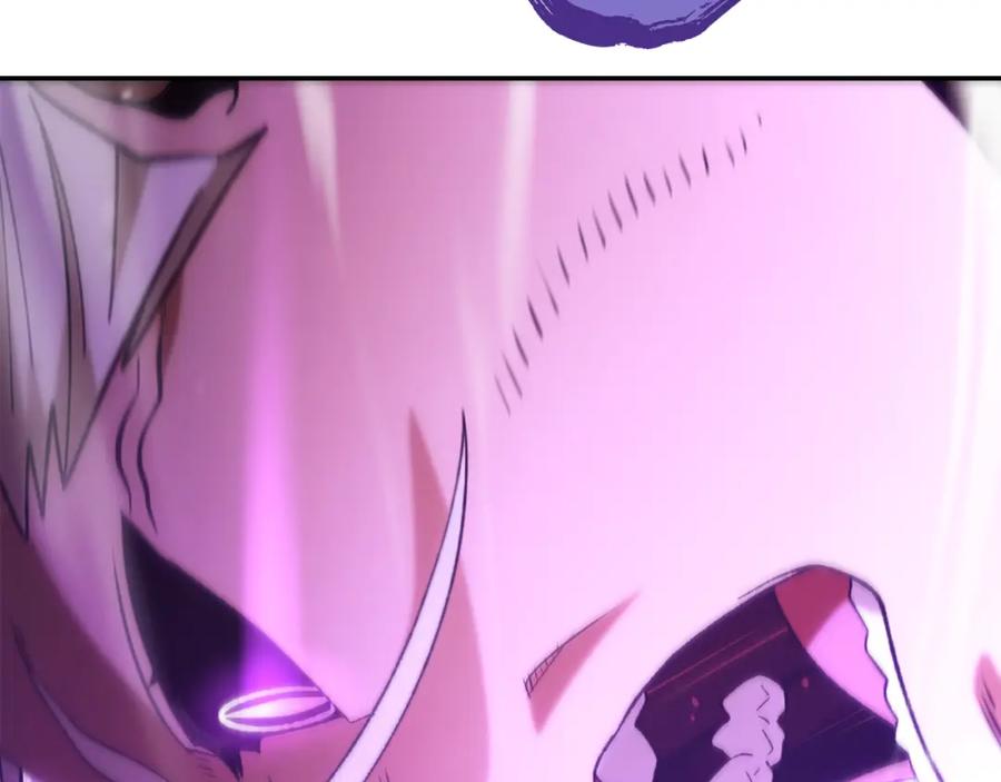第224页