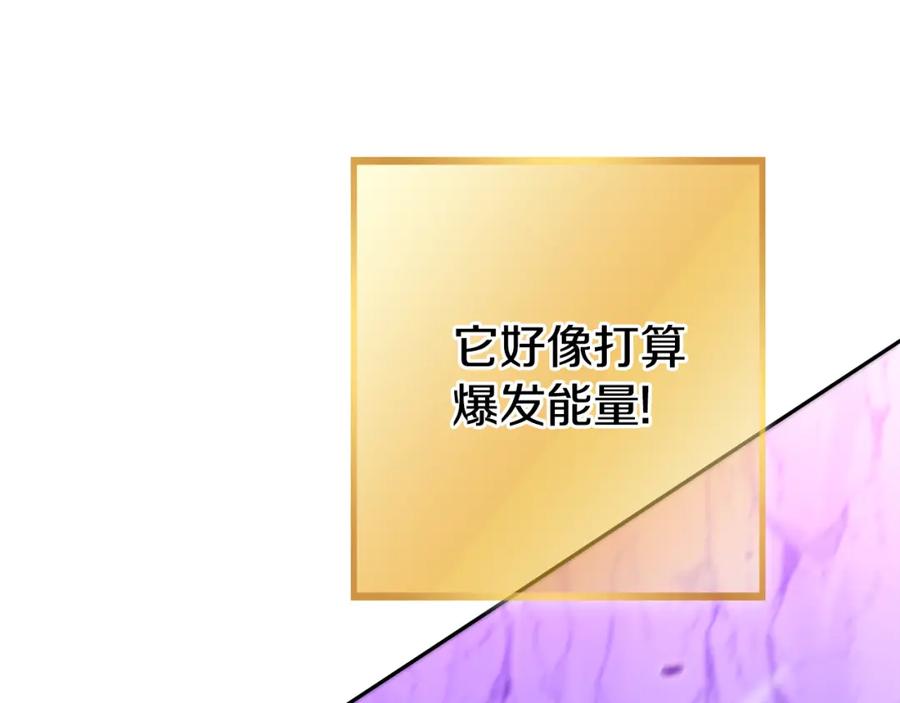 第236页