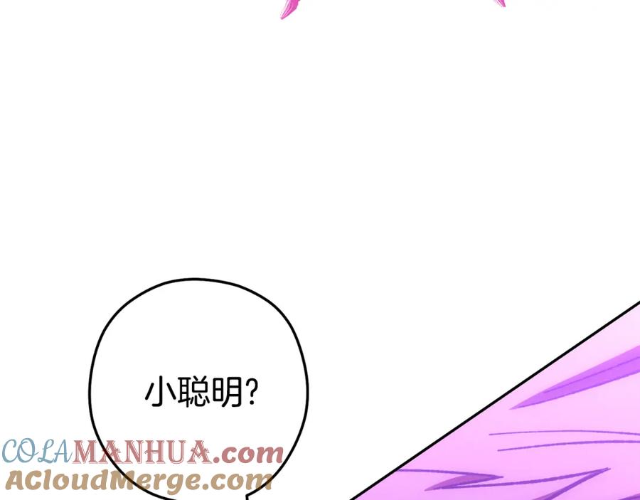 第241页