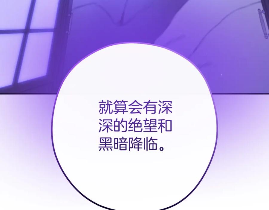 第242页