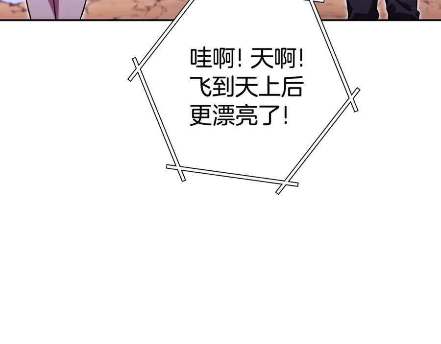 第206页