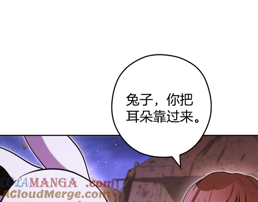 第229页