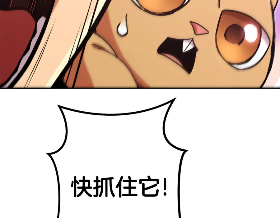 第215页