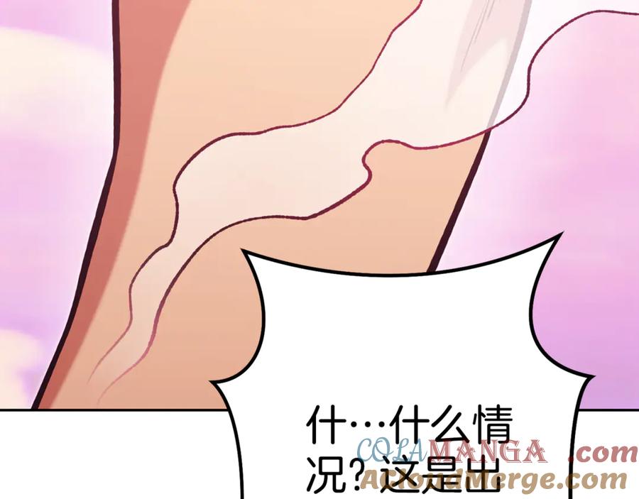 第221页