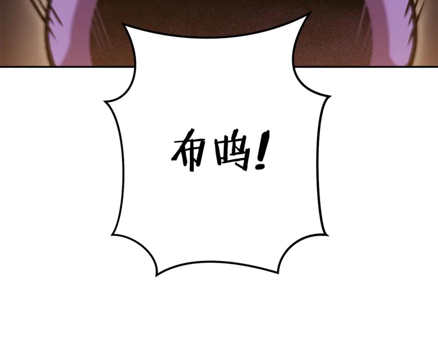 第242页