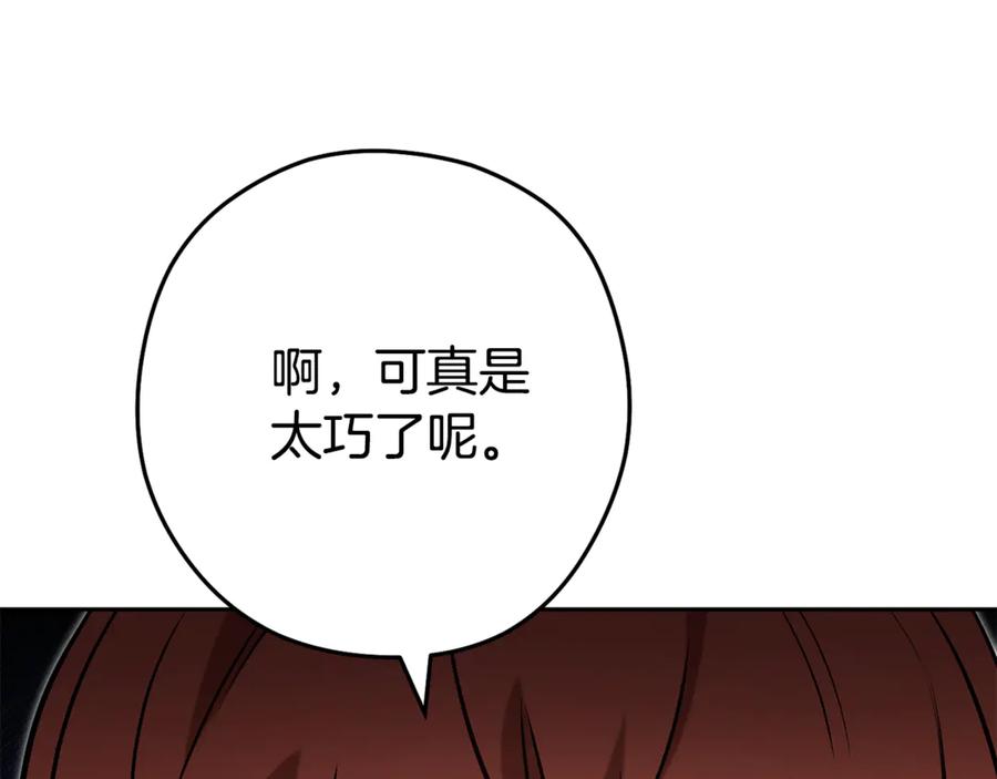 第223页