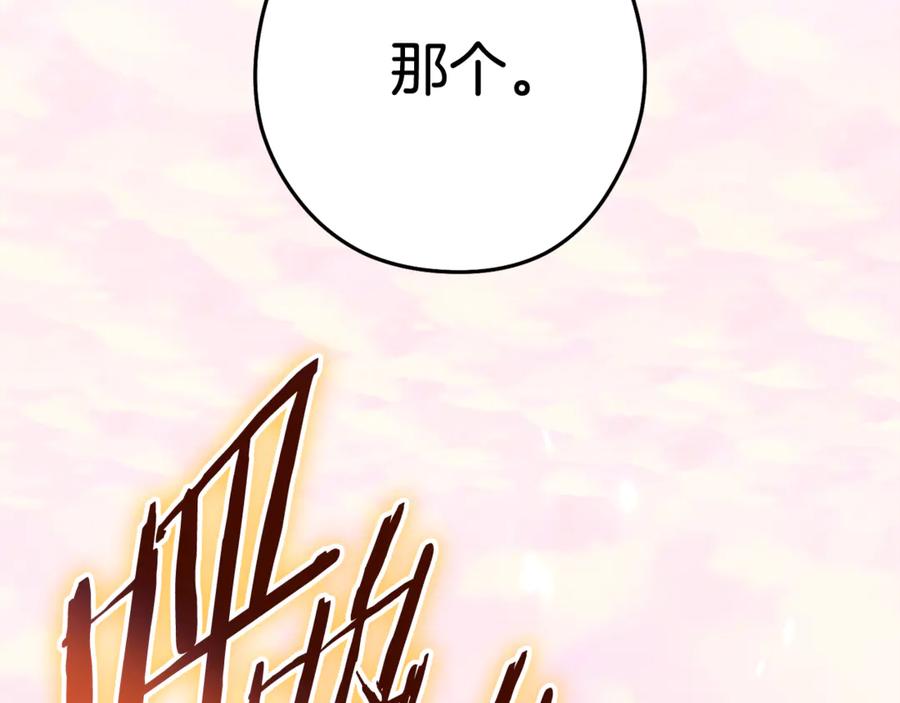 第239页