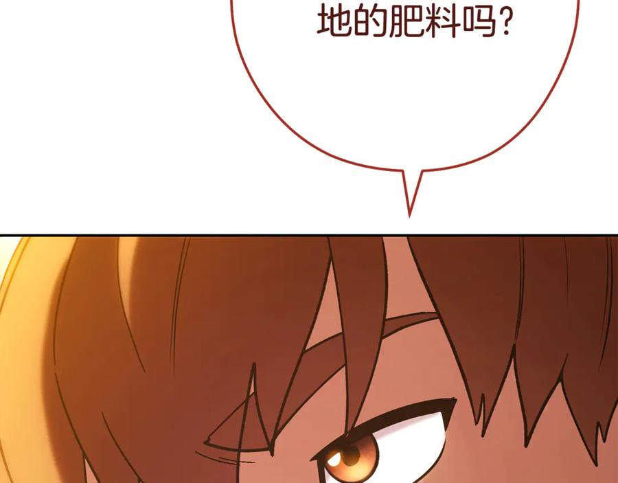第244页