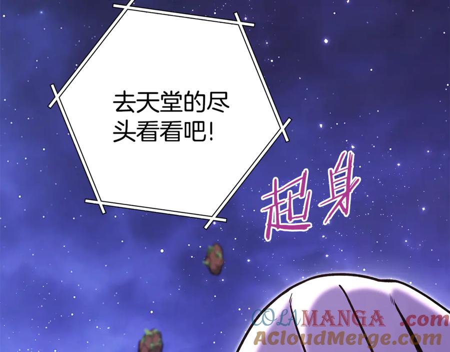 第229页