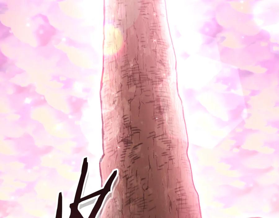 第236页