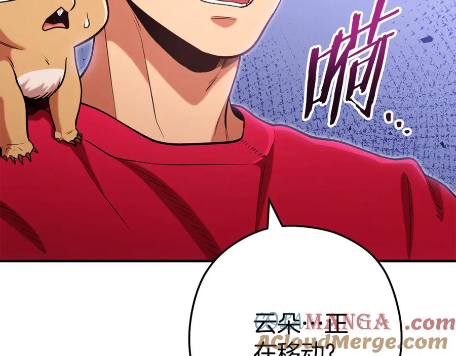 第213页