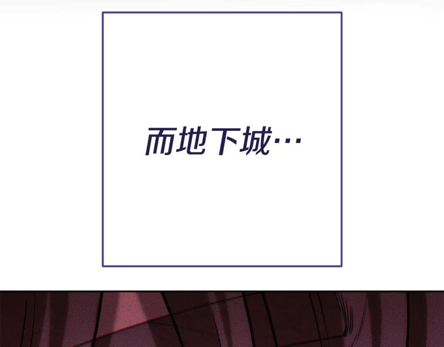 第243页