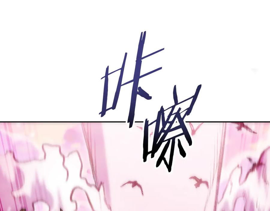 第223页
