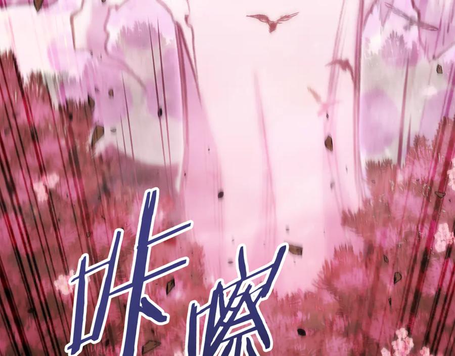 第224页