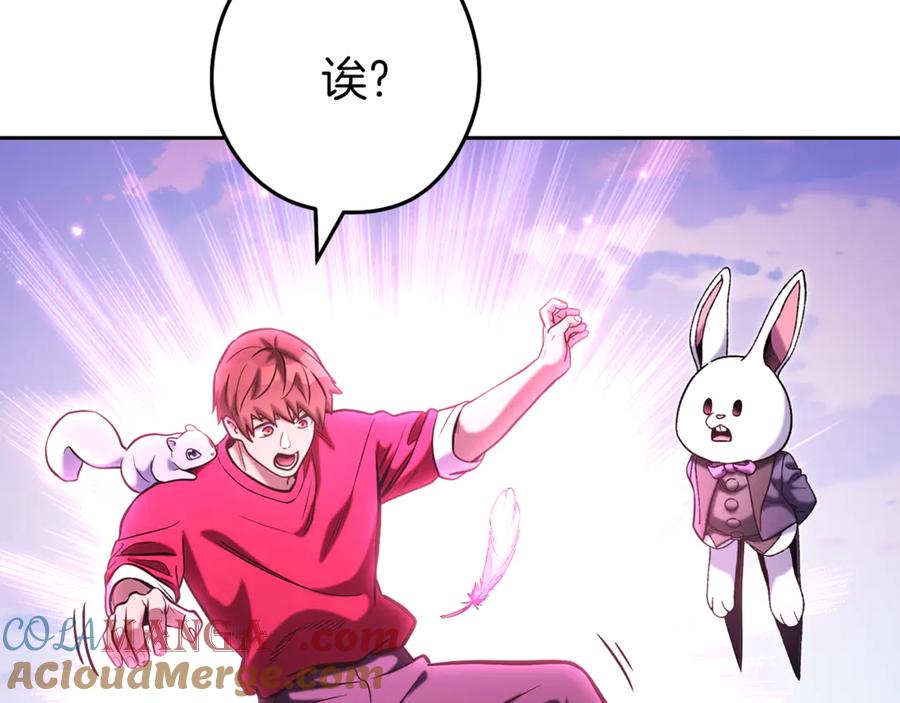 第221页