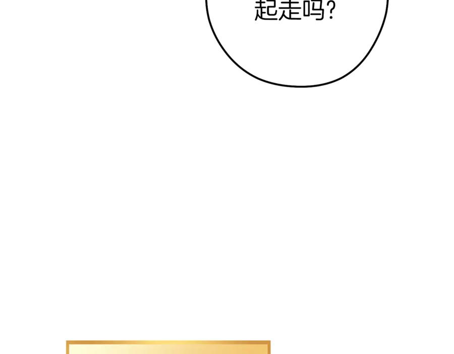 第223页