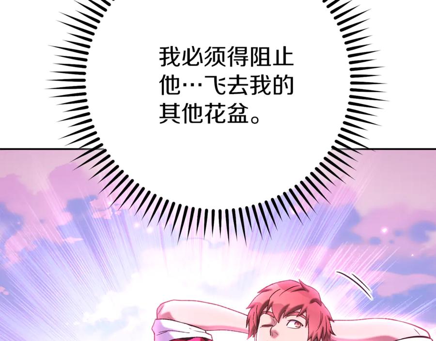第242页