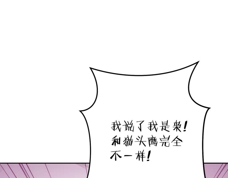 第255页