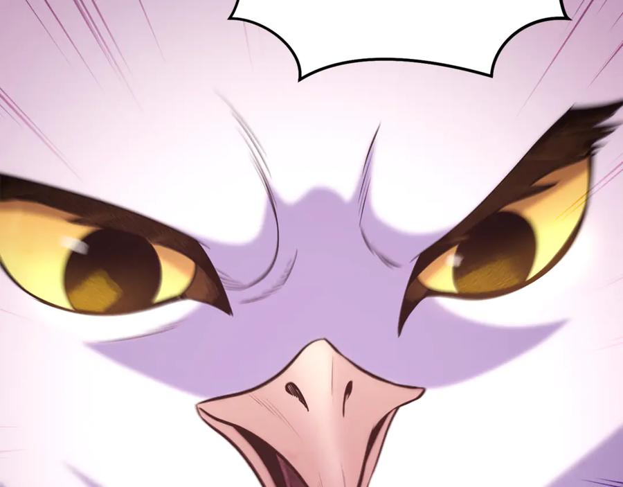 第256页