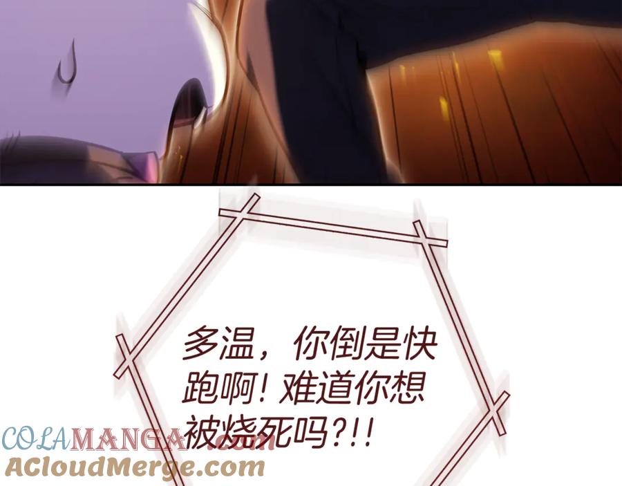 第205页
