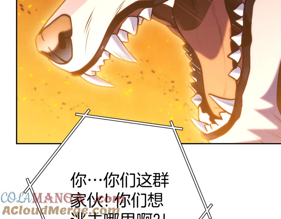 第213页