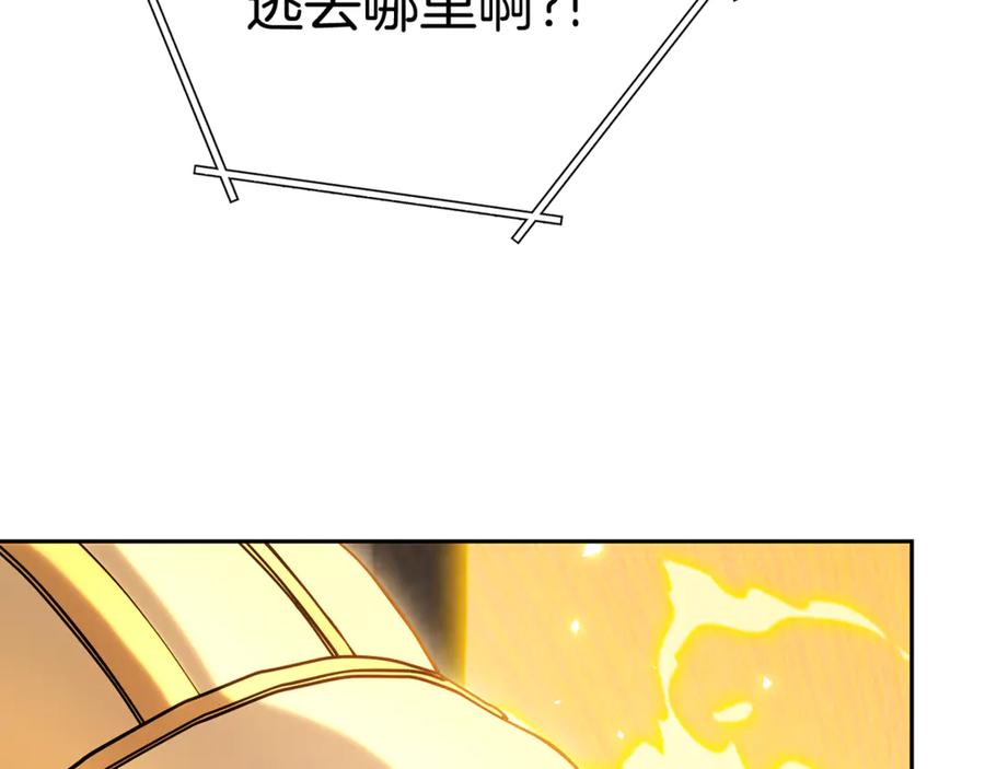 第214页