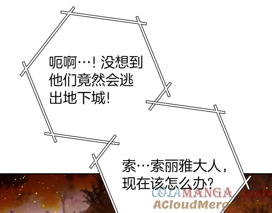 第221页