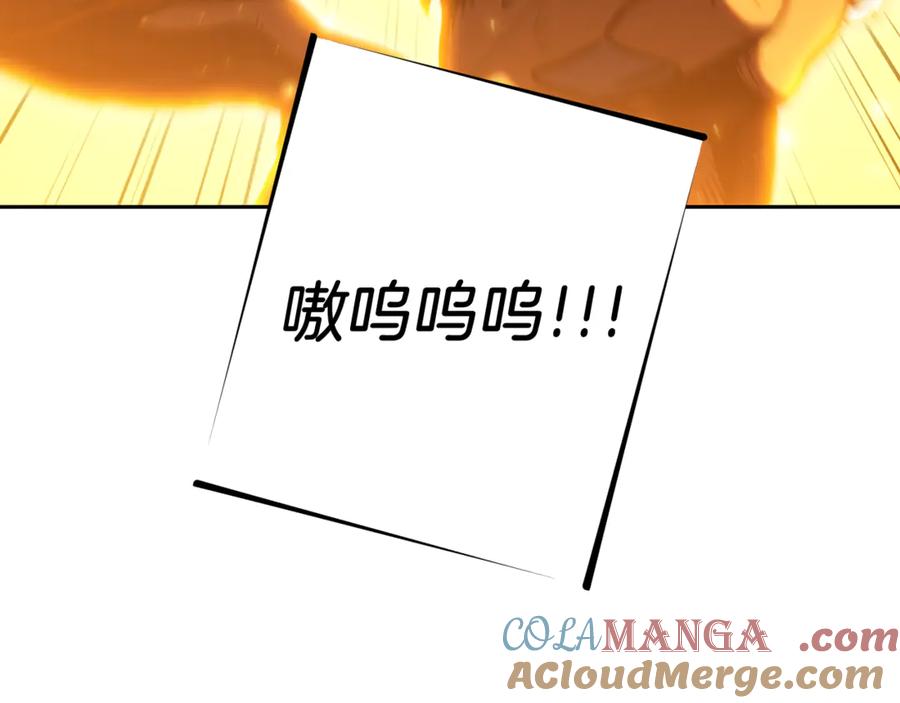 第221页