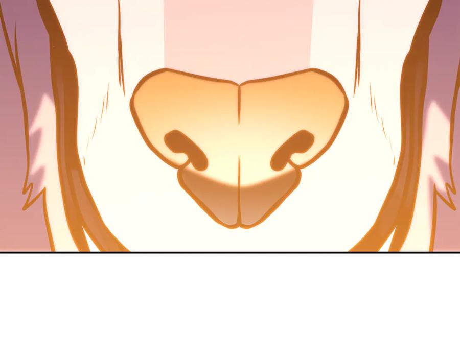 第232页