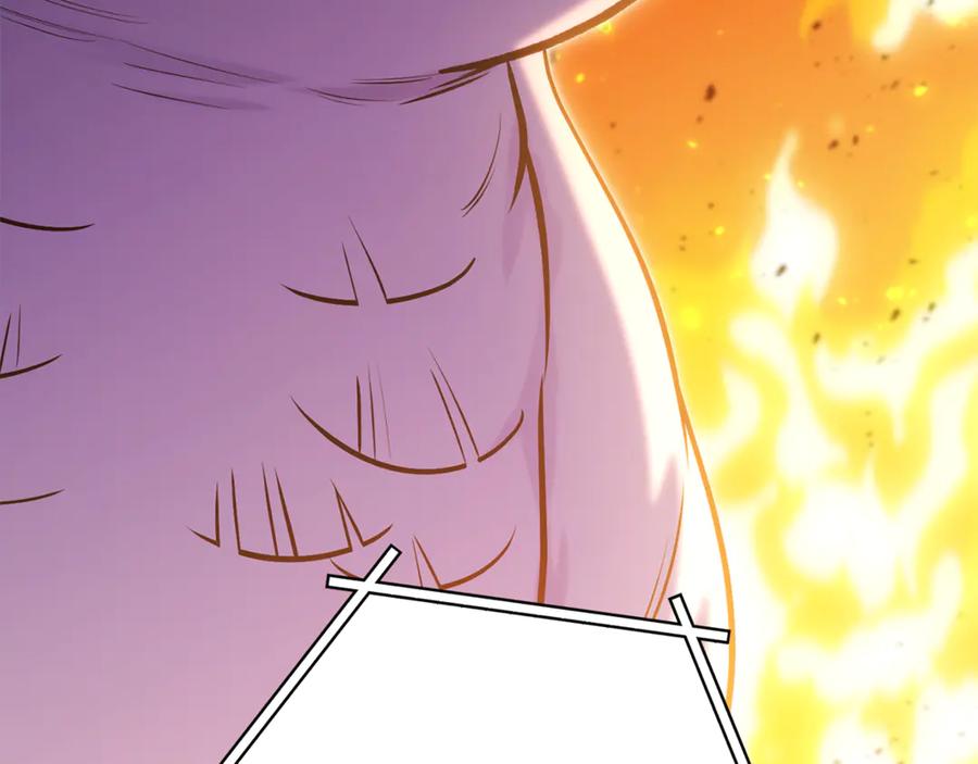 第242页