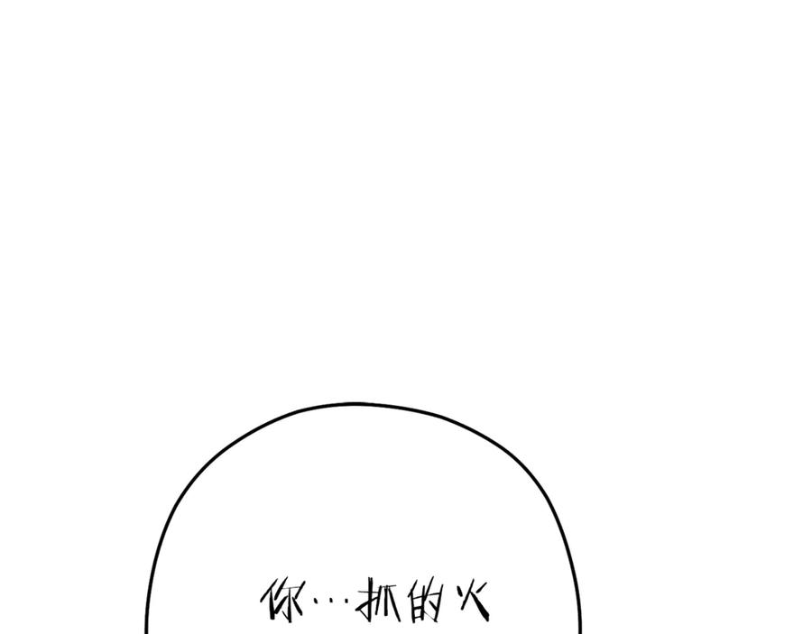 第215页
