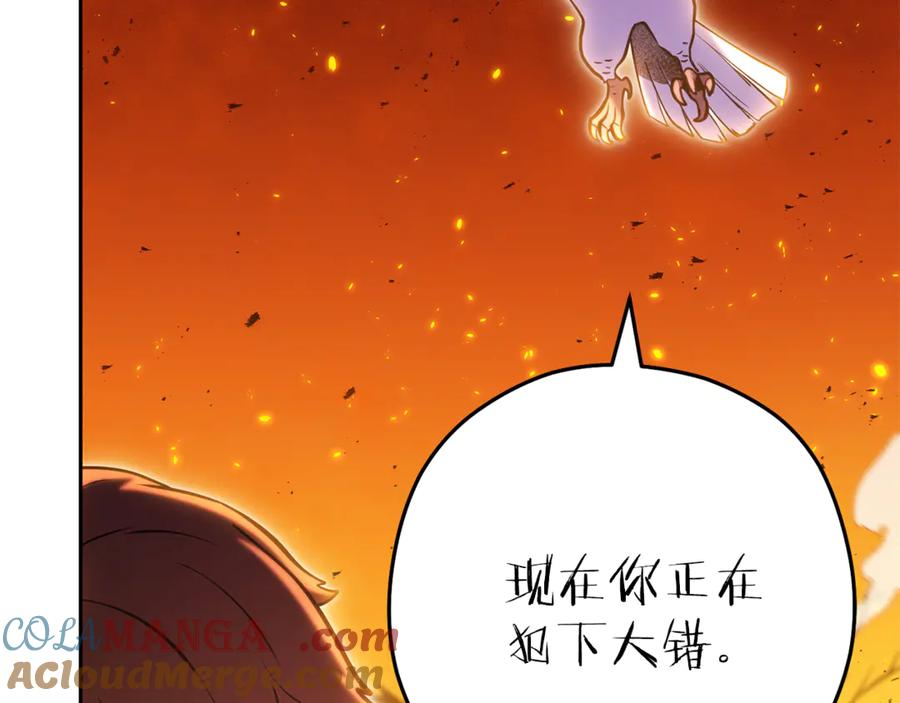 第217页