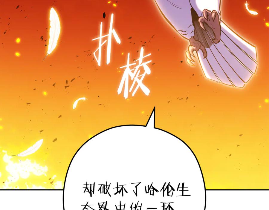 第234页