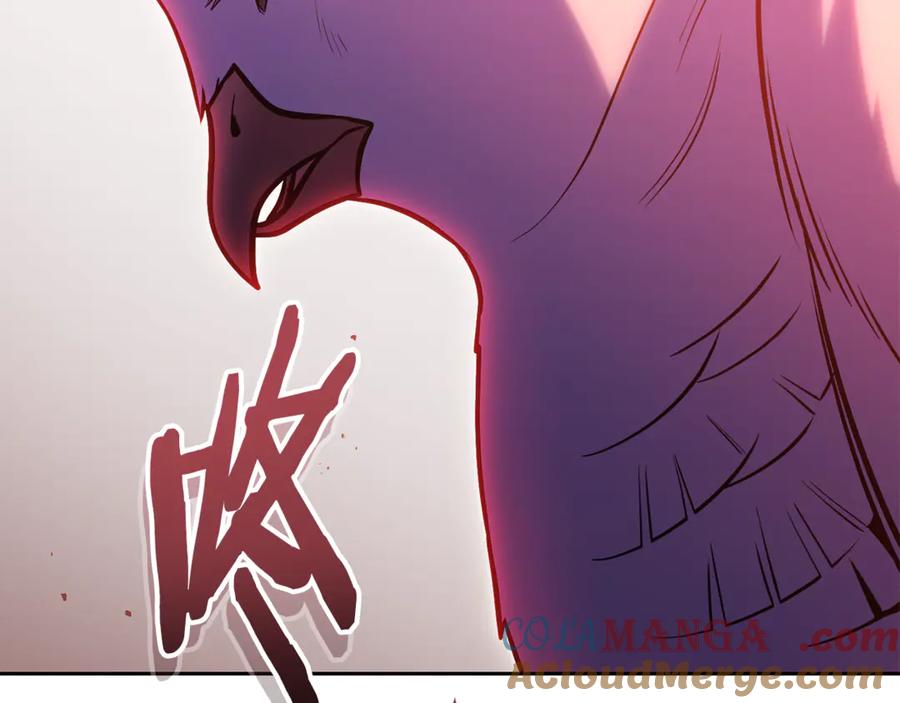 第241页