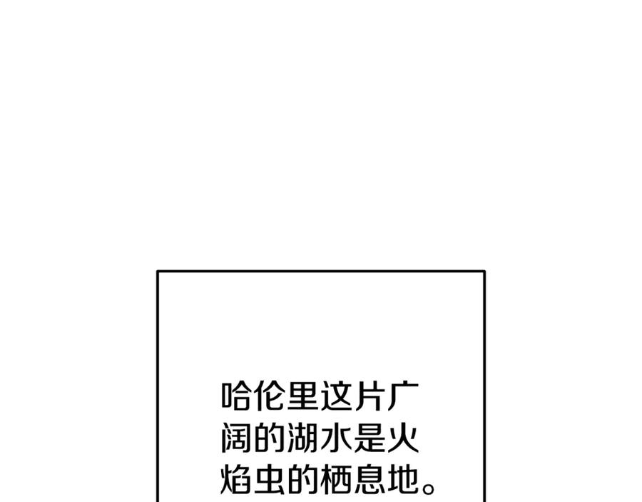第223页