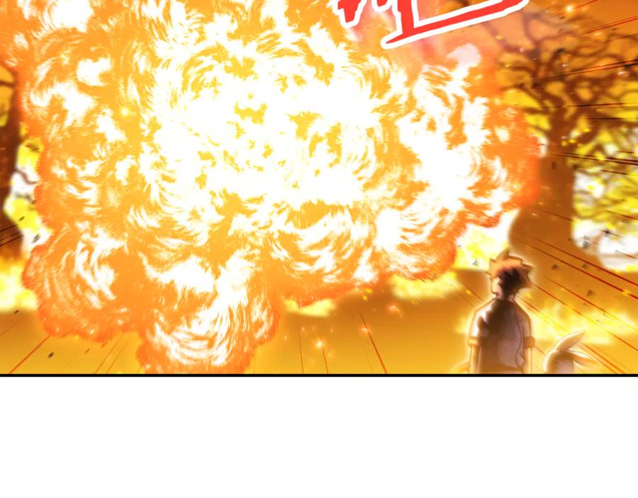 第231页