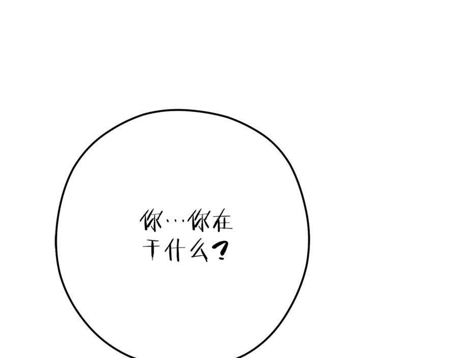 第243页