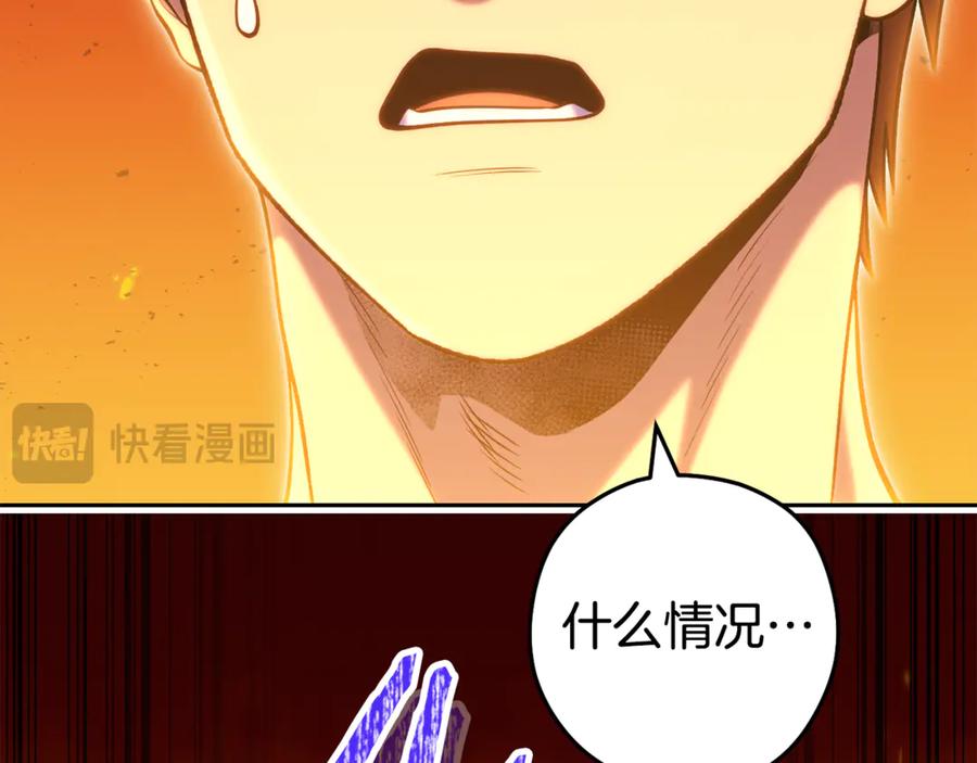 第223页