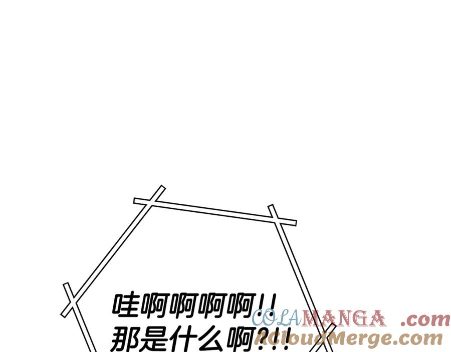 第229页