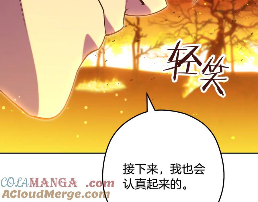 第233页